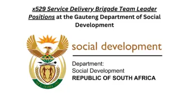 x529 Service Delivery Brigade Team Leader Positions at the Gauteng Department of Social Development