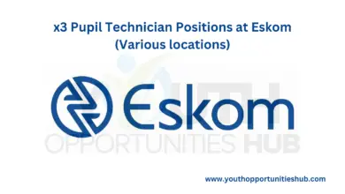 x3 Pupil Technician Positions at Eskom (Various locations)