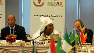 The African Union NEPAD Skills Initiative For Africa