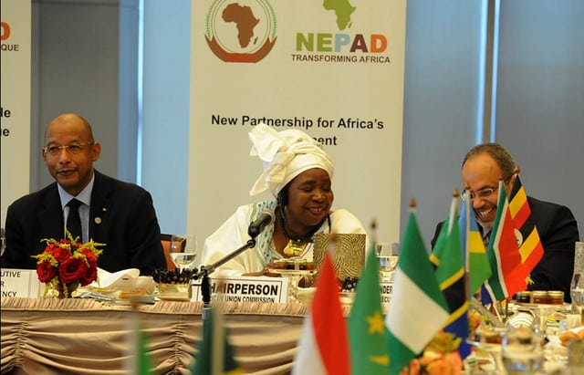 The African Union NEPAD Skills Initiative For Africa