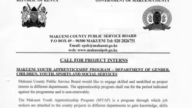 Great Opportunity For Young Kenyans: Makueni Youth Apprenticeship Program