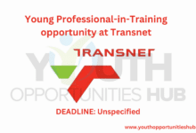 Young Professional-in-Training opportunity at Transnet