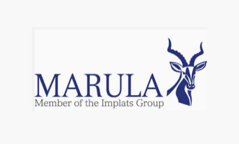 Marula Platinum Pty Limited is looking for graduate interns in South Africa Marula Platinum Pty Limited is looking for graduate interns in South Africa