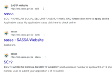 SASSA SRD Status Check Explained: What Pending, Approved and Declined Mean