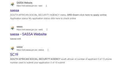 SASSA SRD Status Check Explained: What Pending, Approved and Declined Mean