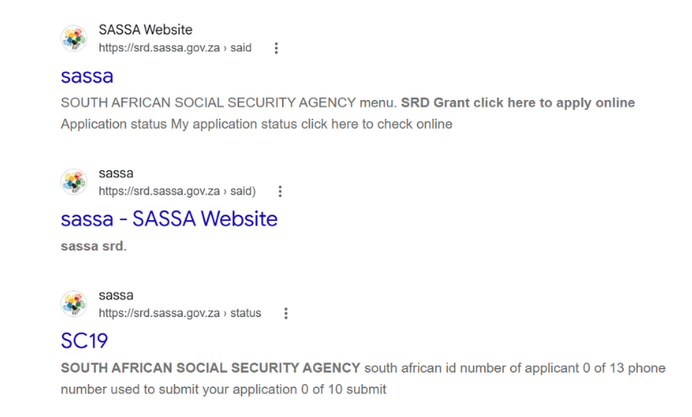 SASSA SRD Status Check Explained: What Pending, Approved and Declined Mean