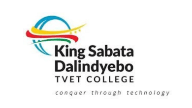 Work-Integrated Learning Opportunity in South Africa: TVET College Partnerships and Student Placement Role