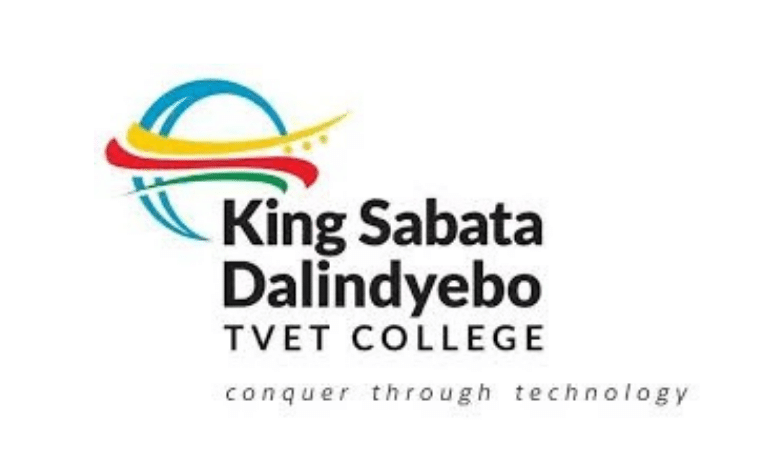 Work-Integrated Learning Opportunity in South Africa: TVET College Partnerships and Student Placement Role